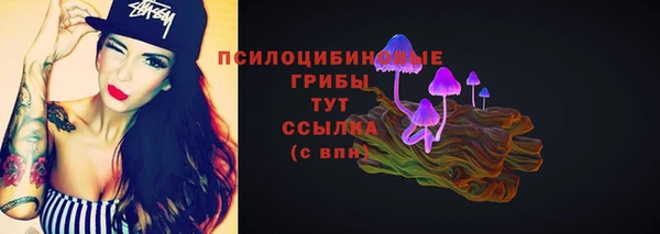 spice Абинск