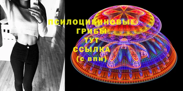 spice Абинск