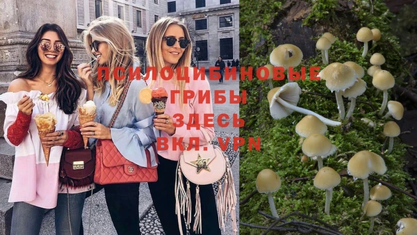 трава Абдулино
